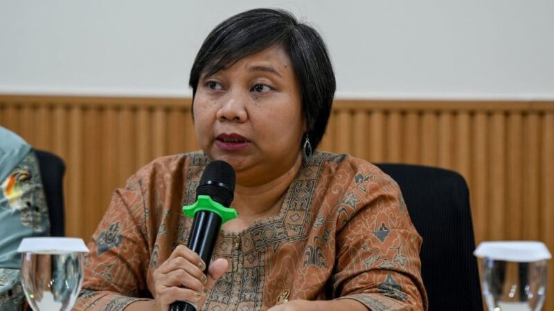 Ketua Komnas HAM Anis Hidayah. (ANTARA FOTO/Sulthony Hasanuddin)