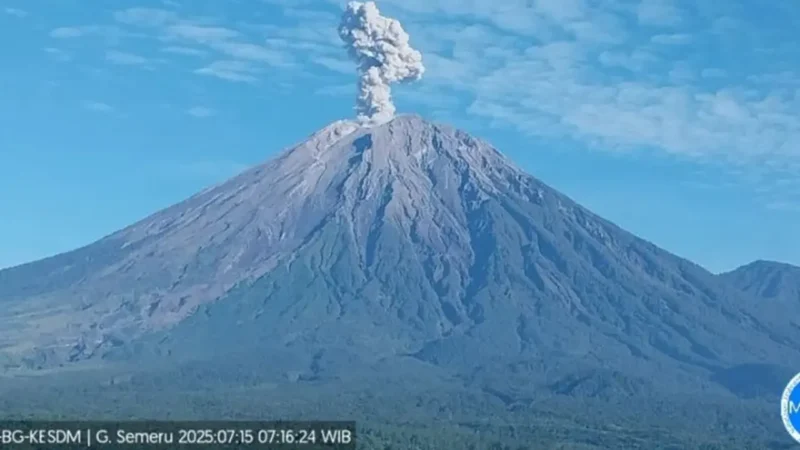 Sumber : liputan6.com, Erupsi Gunung Semeru  